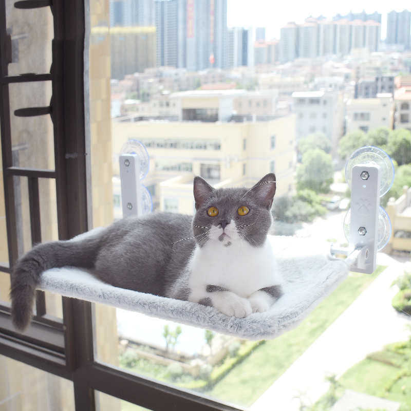 Cat Suction Cup Window Hammock