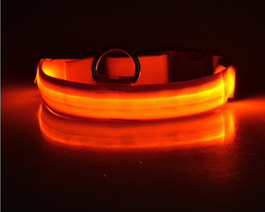 Glowing LED Night Safety Dog Collar