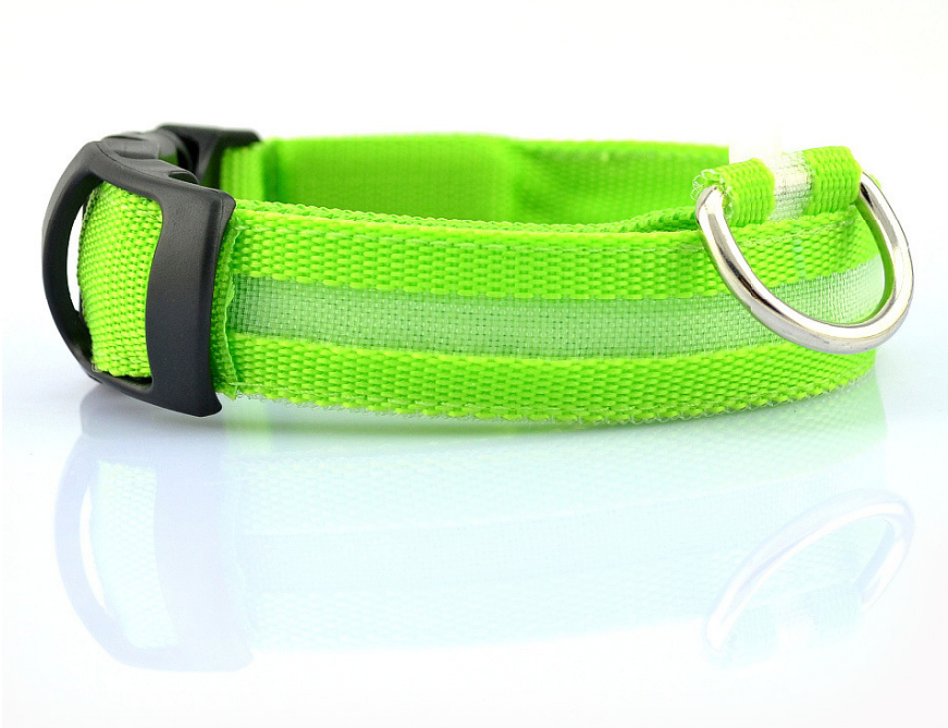 Glowing LED Night Safety Dog Collar