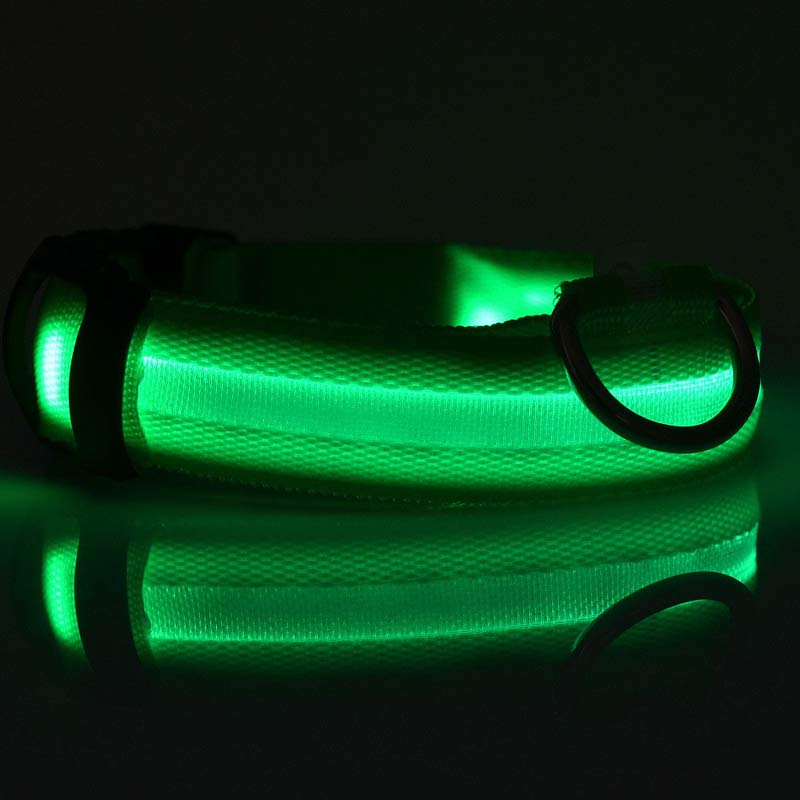 Glowing LED Night Safety Dog Collar