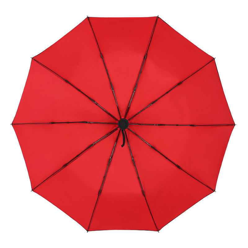 Automatic Double-Layer Wind Resistant Umbrella