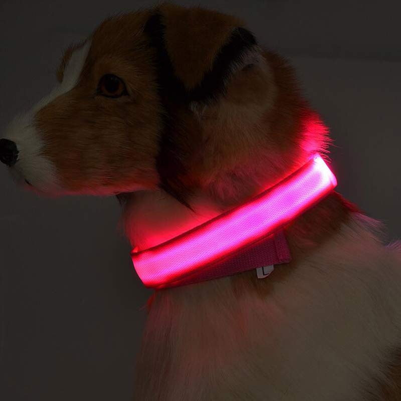 Glowing LED Night Safety Dog Collar