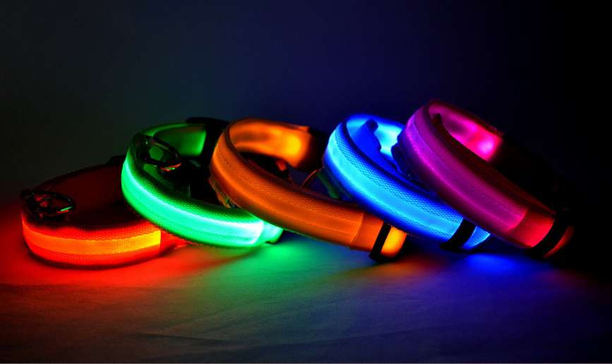 Glowing LED Night Safety Dog Collar