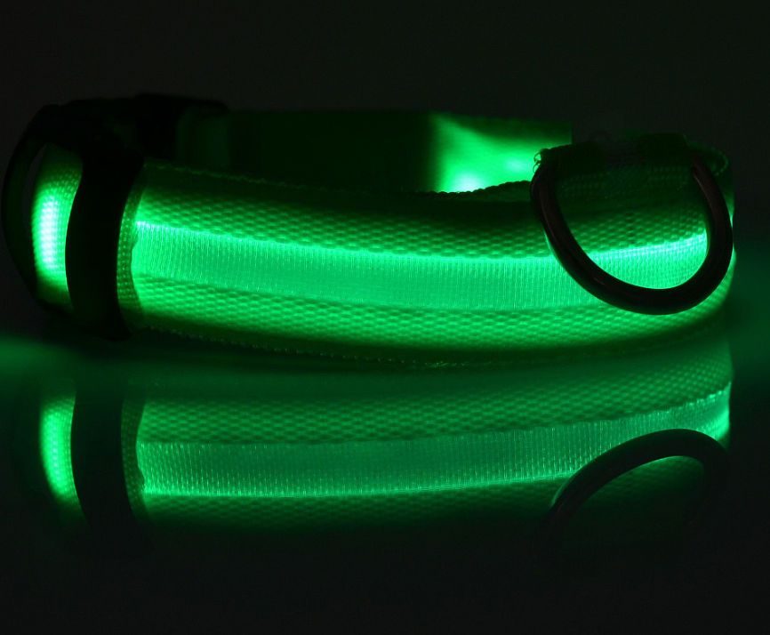 Glowing LED Night Safety Dog Collar